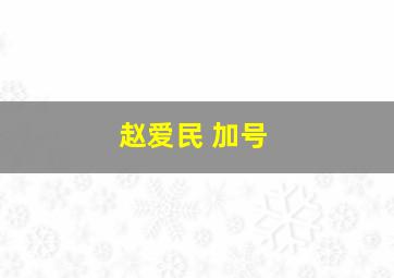 赵爱民 加号